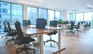 Startup Office (Enterprise)